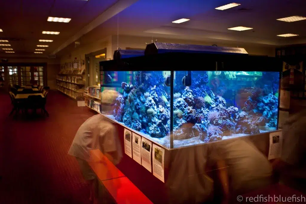 large aquarium in library