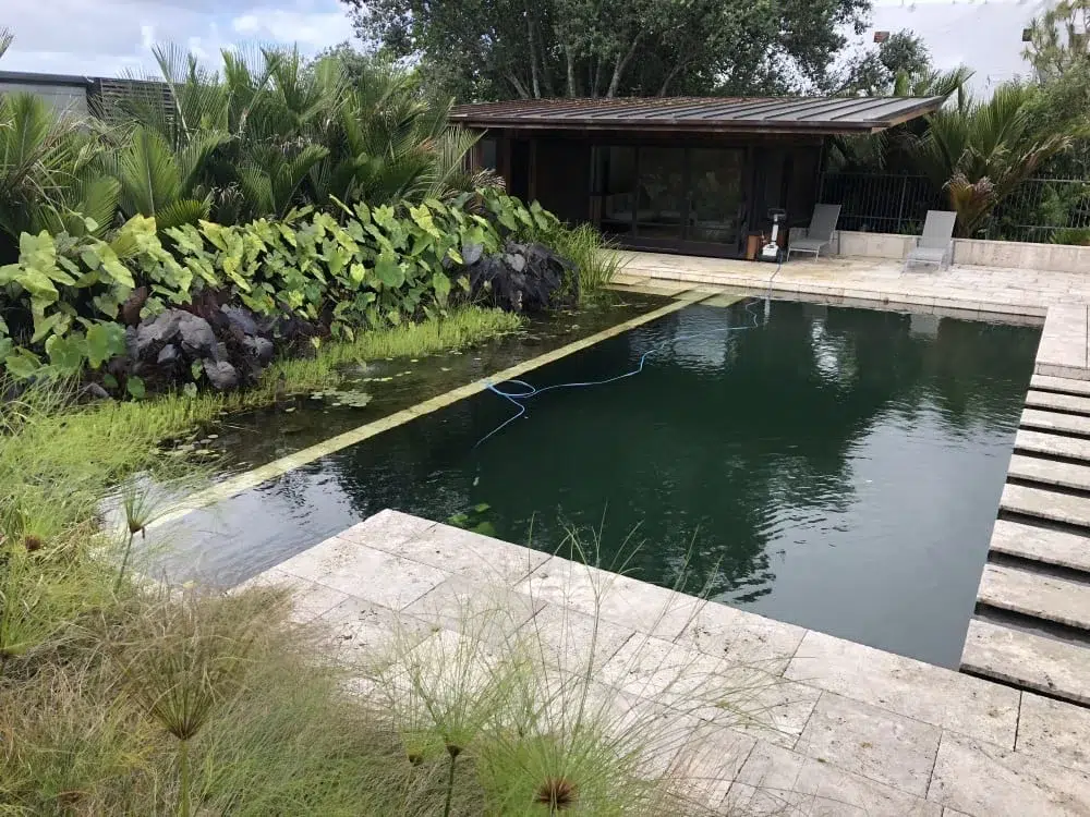 Natural swimming pool or swim pond design