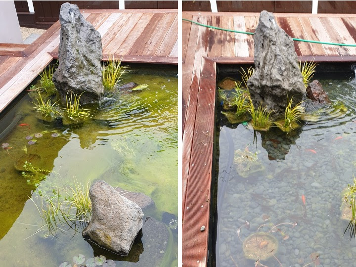 Pond Servicing - a WOF for Your Pond